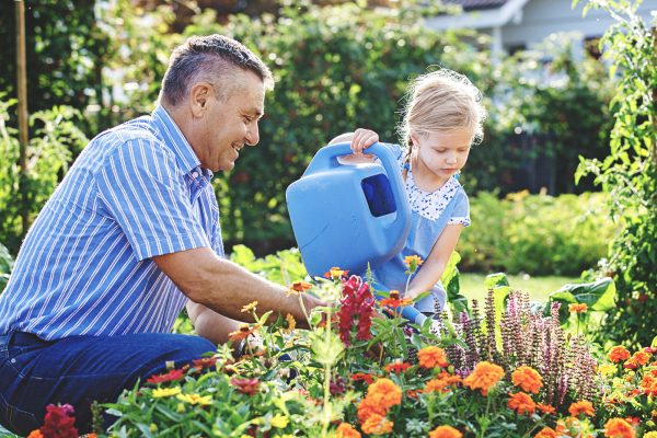 7 Essential Garden Maintenance Tips to Keep a Healthy Garden