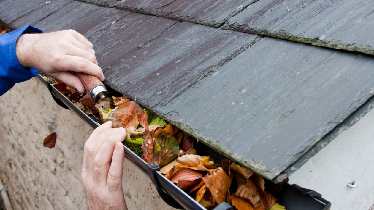 7 Signs That Your Gutters Need to Be Cleaned