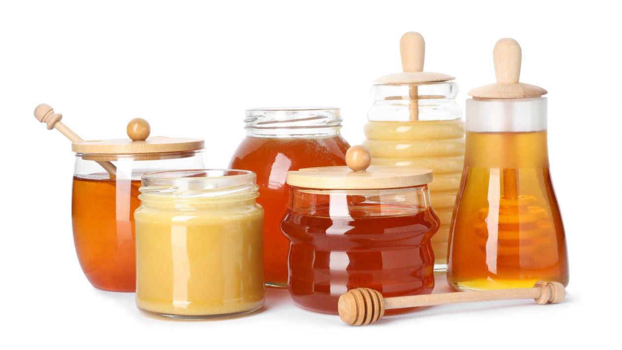 How Many Types of Honey Come from the Amazon Rainforest?