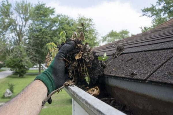 home maintenance for dummies