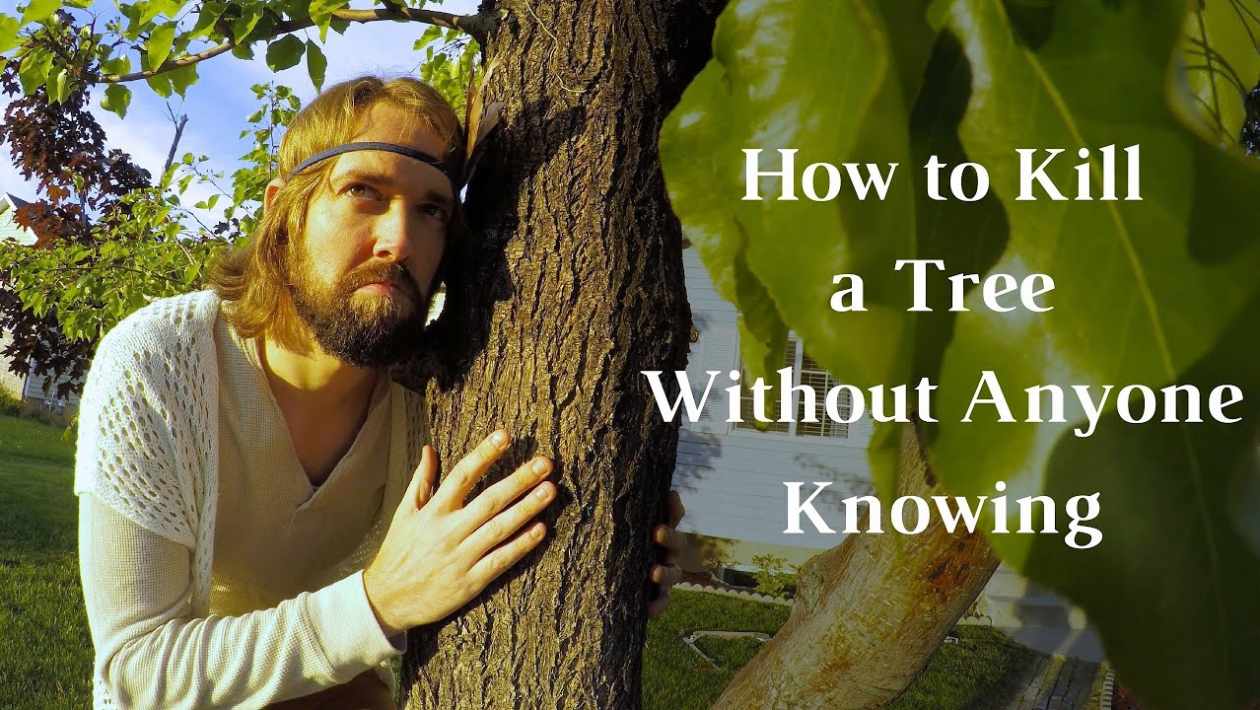 How To Kill a Tree