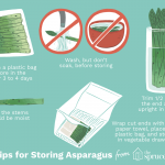 How To Have A Fantastic How To Store Asparagus With Minimal Spending     