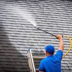 Why You Should Consider Soft Washing Services for Your Roof