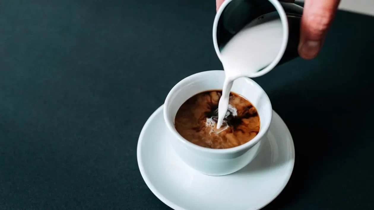 Healthy Coffee Creamer Alternatives