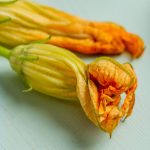 Squash Blossom Recipe: How To Cook The Beautiful Flower?