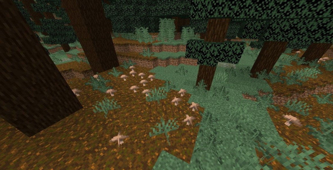where to find brown mushrooms in Minecraft