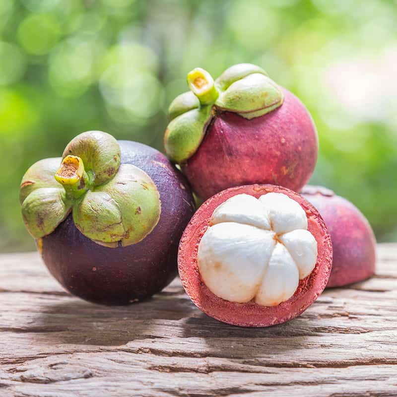 Mangosteen Benefits for Health