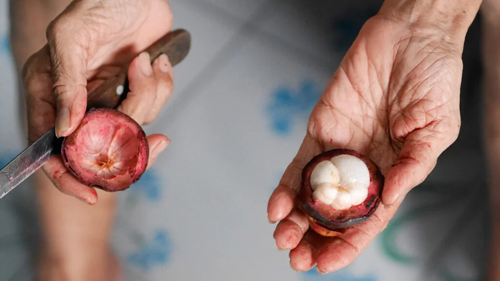 Mangosteen Benefits for Health